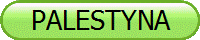 PALESTYNA